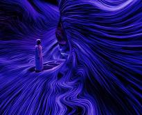 Билеты в teamLab Phenomena